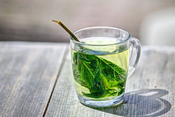 New Study: Green Tea Helps with Memory Loss
